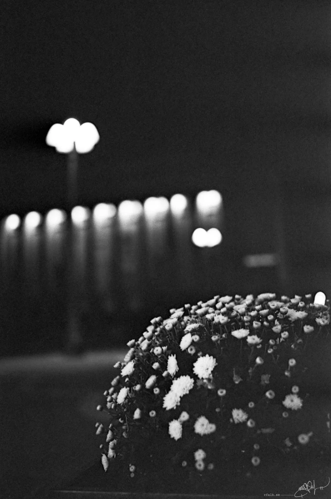 A black-and-white nighttime photograph of a large cluster of small flowers occupying the lower right foreground. The flowers are relatively sharply defined against a dark, out-of-focus background, where a row of bright circular lights extends across the image. A taller street lamp with three glowing globes stands above them on the left.
