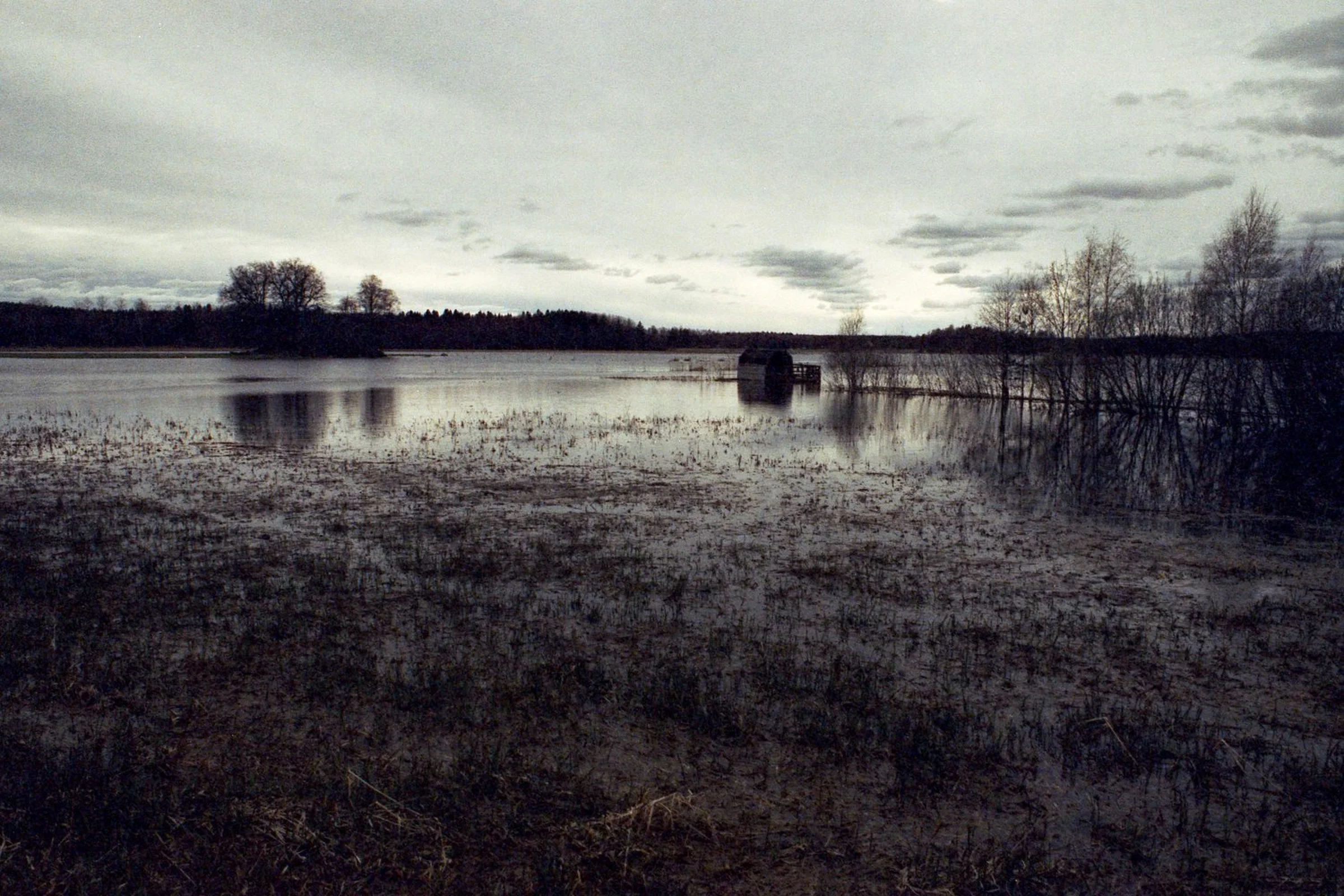 A flooded landscape beneath a broad, overcast sky. Water covers the grassy foreground and surrounds leafless trees, with a small dark structure standing near the centre of the image.