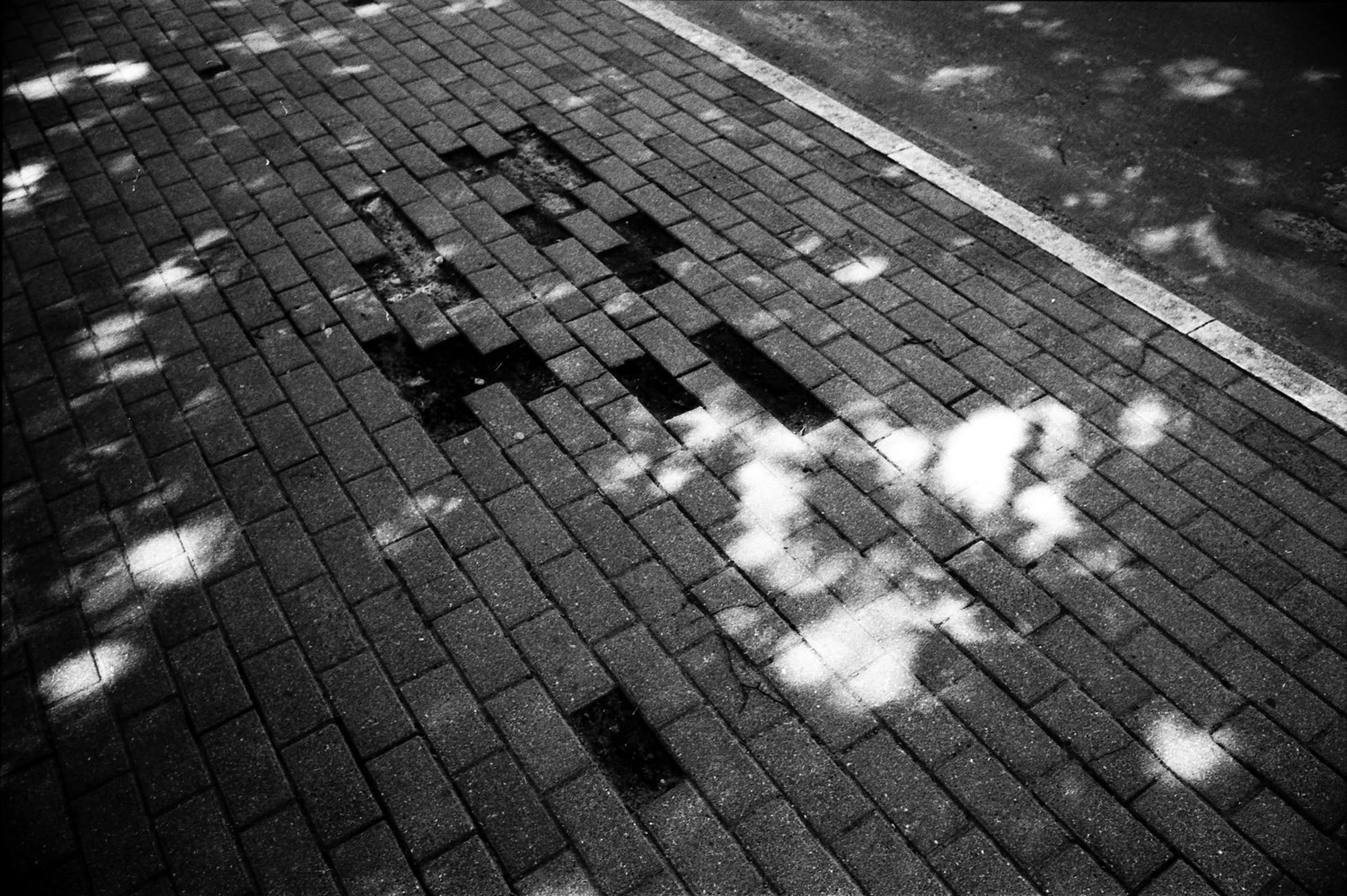 A black-and-white photograph looking down at a brick-paved walkway. Several paving stones are missing or displaced, interrupting the regular pattern, while patches of sunlight fall across the dark surface.