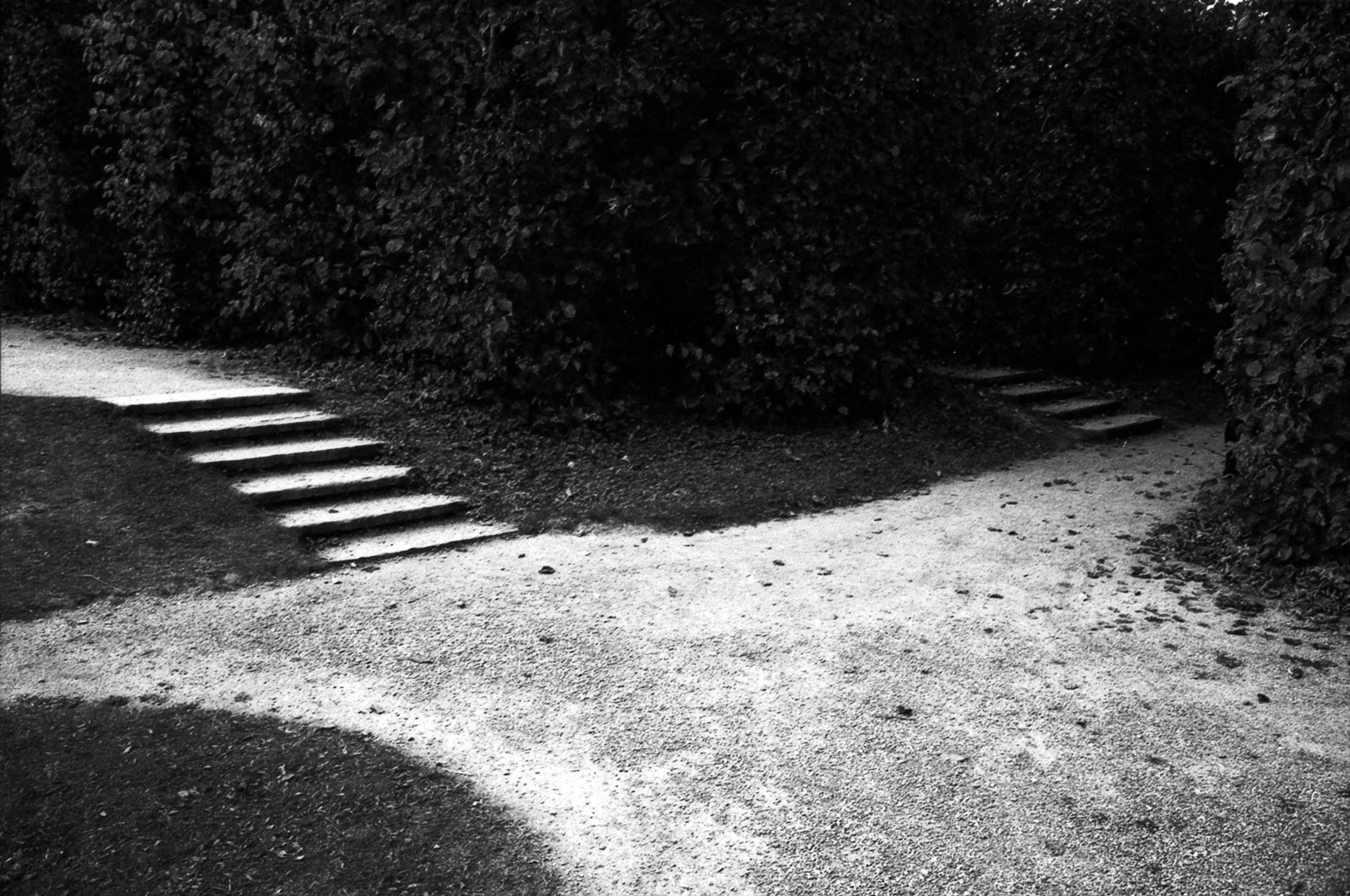 A black-and-white photograph of an empty outdoor path bordered by tall, dense hedges. On the left, a short flight of shallow steps leads up to a higher section of the path, while another set of steps disappears into a dark opening between the hedges on the right. A broad area of sunlight cuts diagonally across the pale gravel surface in the foreground.