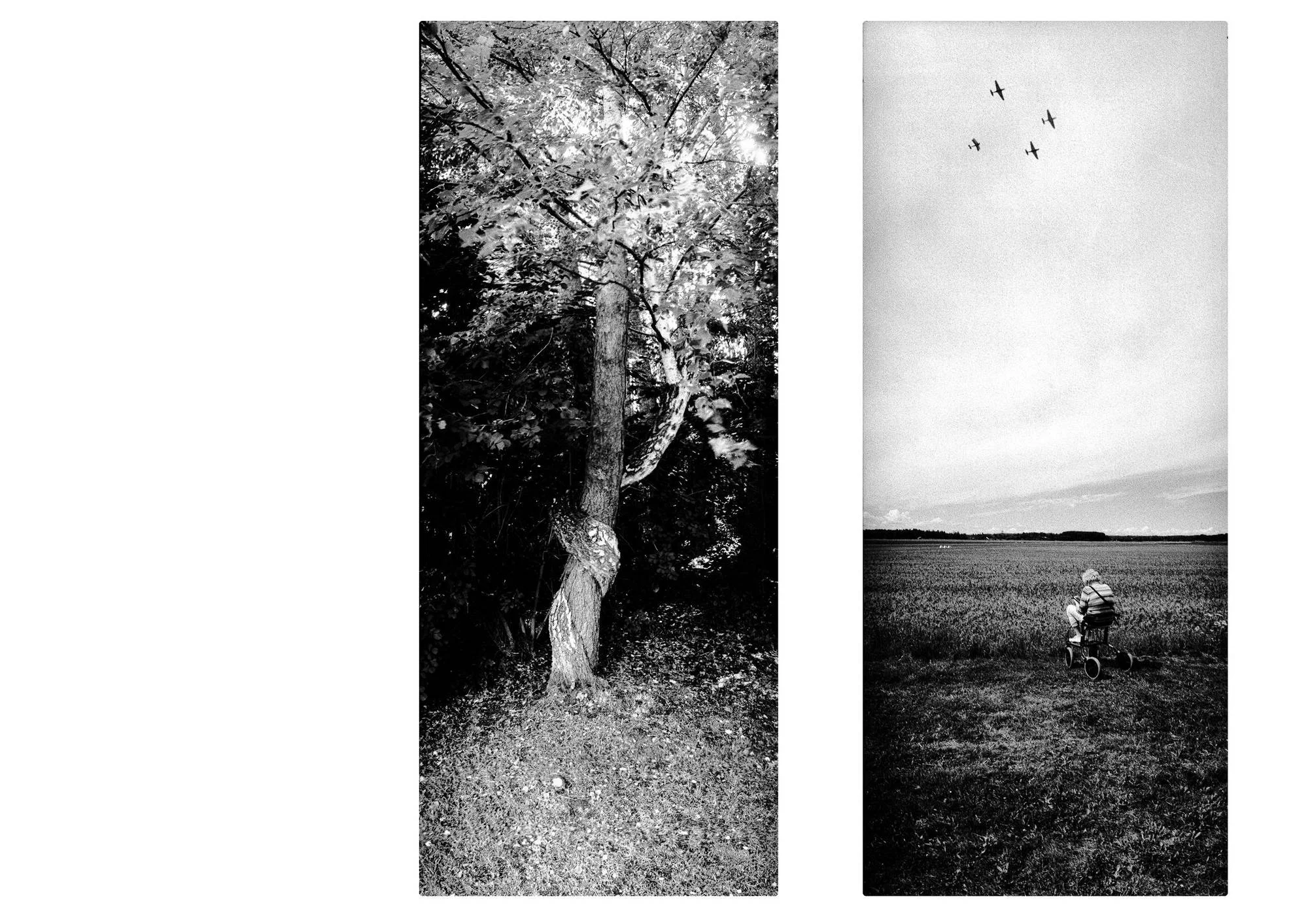 Two vertical black-and-white photographs arranged side by side. On the left, a tree with a thick, twisted trunk rises into a dense canopy of leaves, with sunlight filtering through the branches. On the right, a small figure sits on a tricycle at the edge of an open field, beneath four aircraft flying in formation across a vast, pale sky.