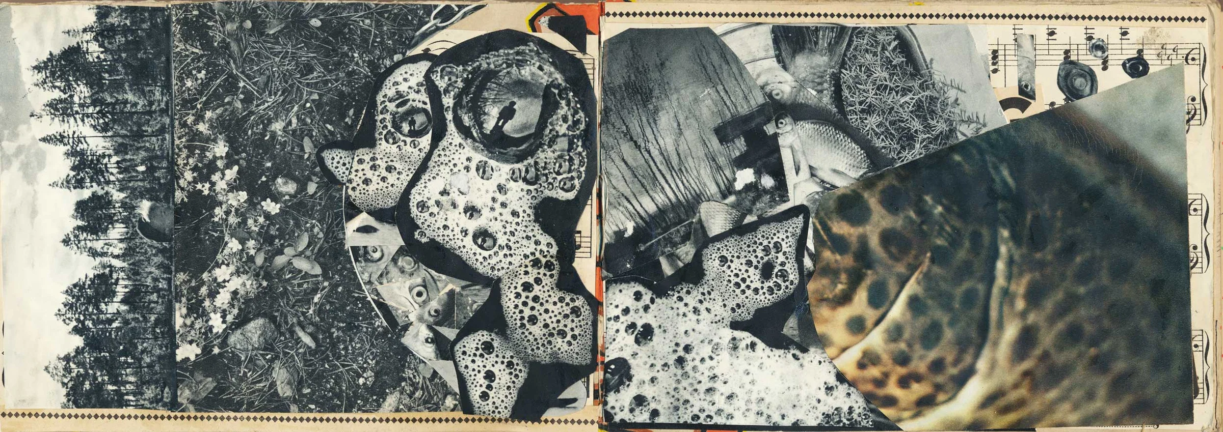 A horizontal collage spanning an open sketchbook. Black-and-white photographic fragments of trees, vegetation, objects and printed patterns overlap with irregular spotted shapes. A large diagonal fragment of a colour photograph covers much of the right-hand page.